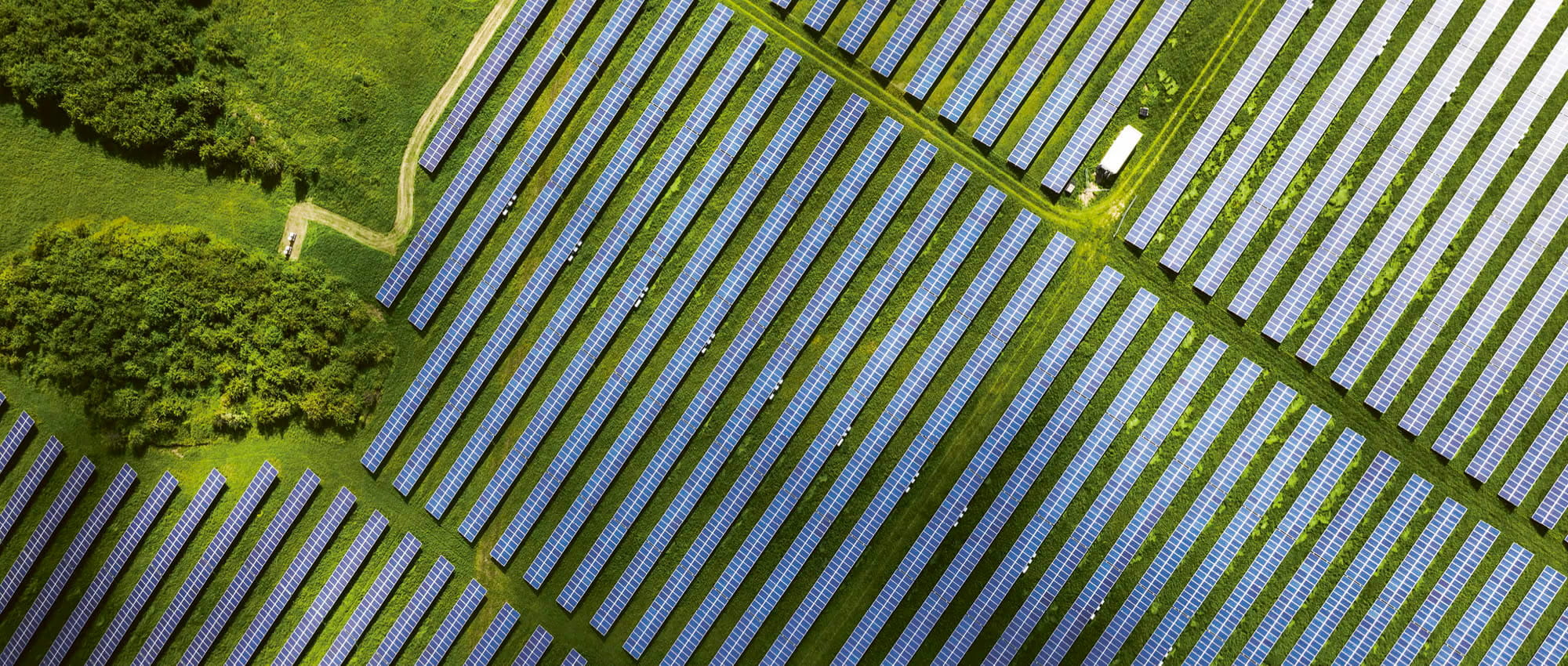 Solar panel array from above. Copyright: iStock/Nikada